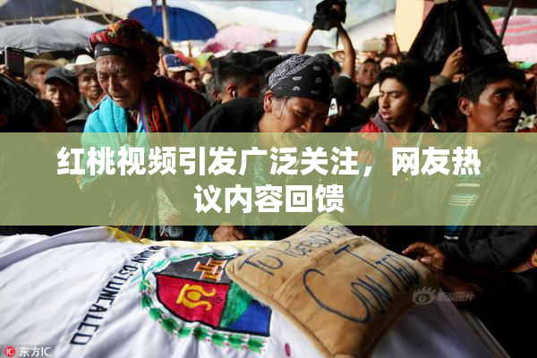 红桃视频引发广泛关注，网友热议内容回馈