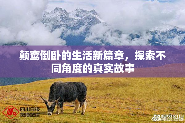 颠鸾倒卧的生活新篇章，探索不同角度的真实故事