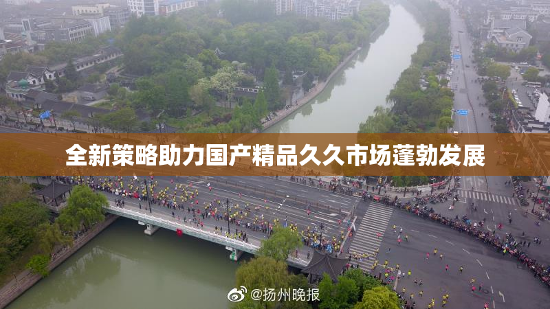 全新策略助力国产精品久久市场蓬勃发展