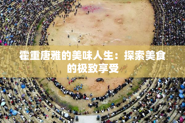 霍重唐雅的美味人生：探索美食的极致享受