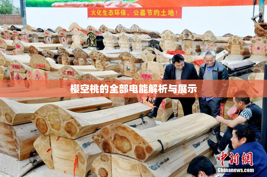 樱空桃的全部电能解析与展示