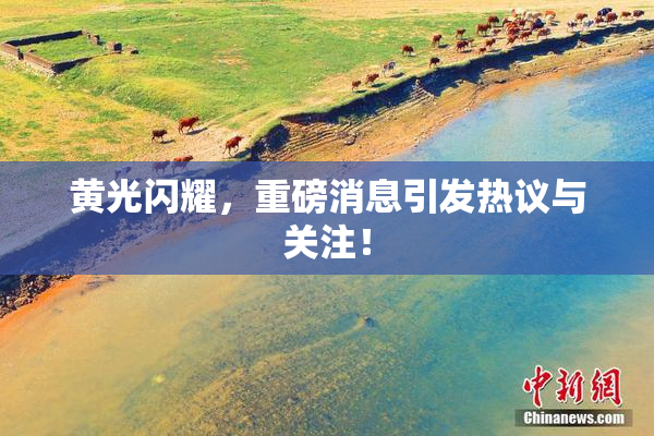 黄光闪耀，重磅消息引发热议与关注！