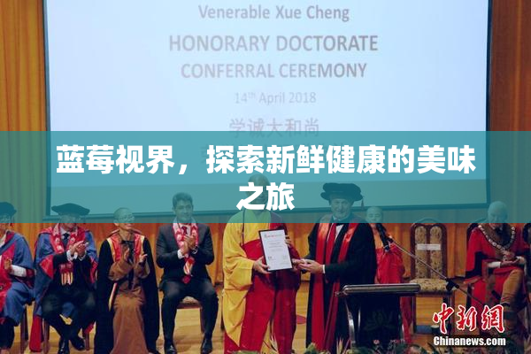 蓝莓视界，探索新鲜健康的美味之旅
