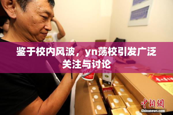 鉴于校内风波，yn荡校引发广泛关注与讨论