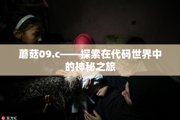 蘑菇09.c——探索在代码世界中的神秘之旅