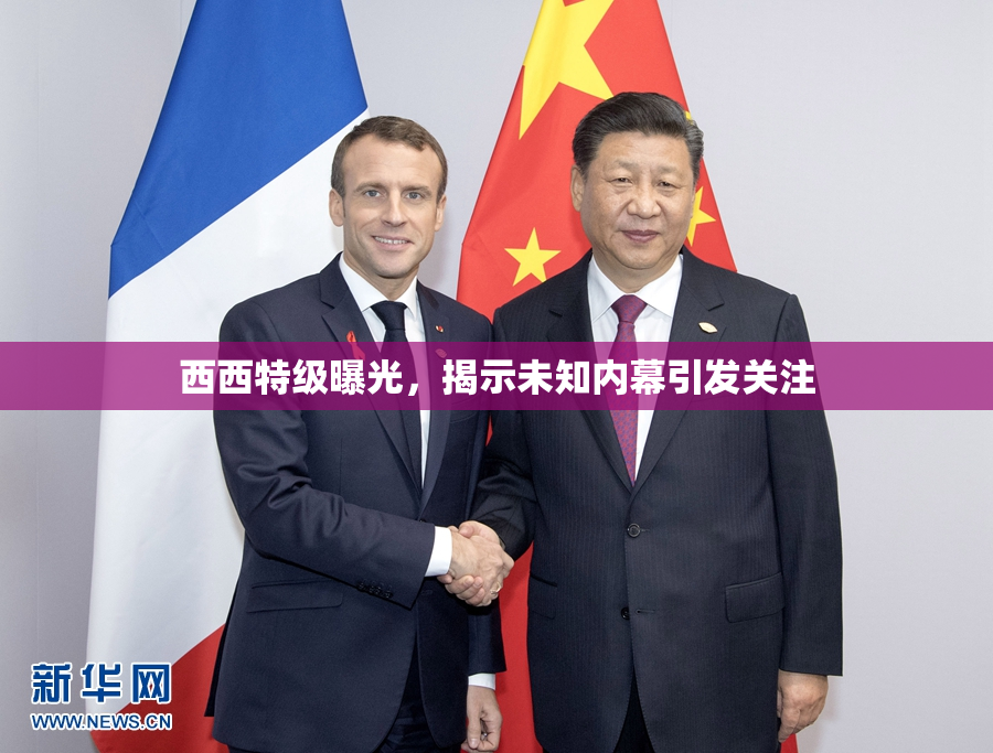 西西特级曝光，揭示未知内幕引发关注
