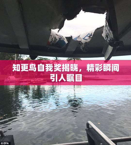 知更鸟自我奖揭晓，精彩瞬间引人瞩目