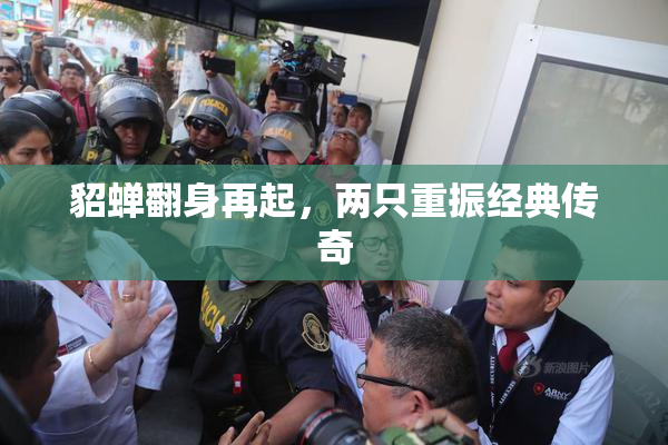 貂蝉翻身再起，两只重振经典传奇