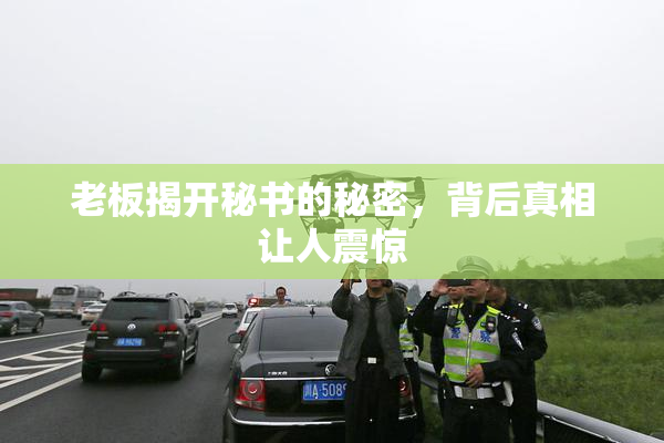 老板揭开秘书的秘密，背后真相让人震惊