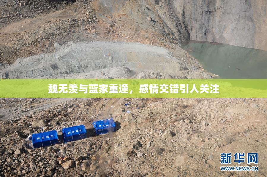 魏无羡与蓝家重逢，感情交错引人关注