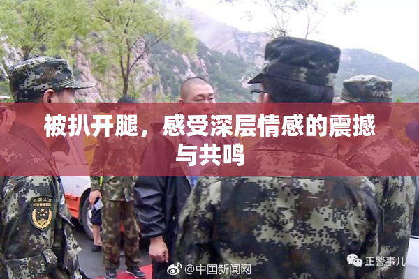 被扒开腿，感受深层情感的震撼与共鸣