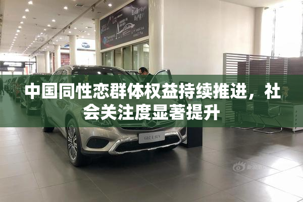 中国同性恋群体权益持续推进，社会关注度显著提升