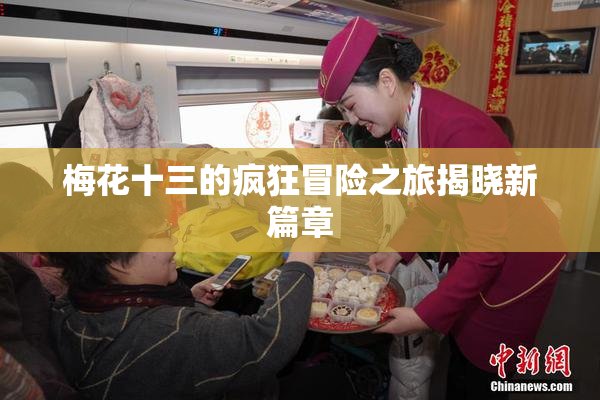 梅花十三的疯狂冒险之旅揭晓新篇章