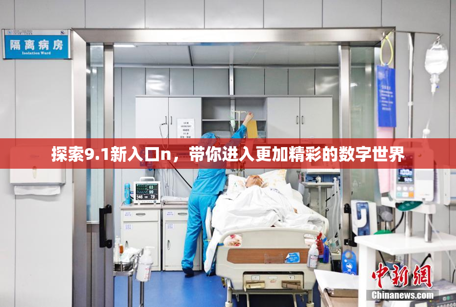 探索9.1新入口n，带你进入更加精彩的数字世界