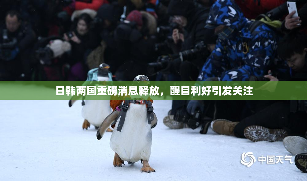 日韩两国重磅消息释放，醒目利好引发关注