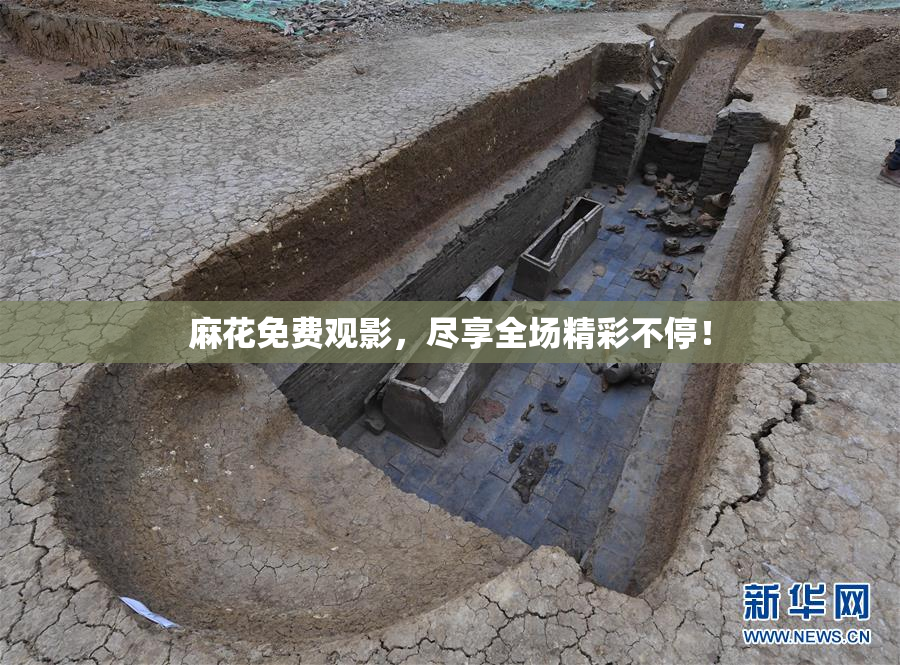 麻花免费观影，尽享全场精彩不停！