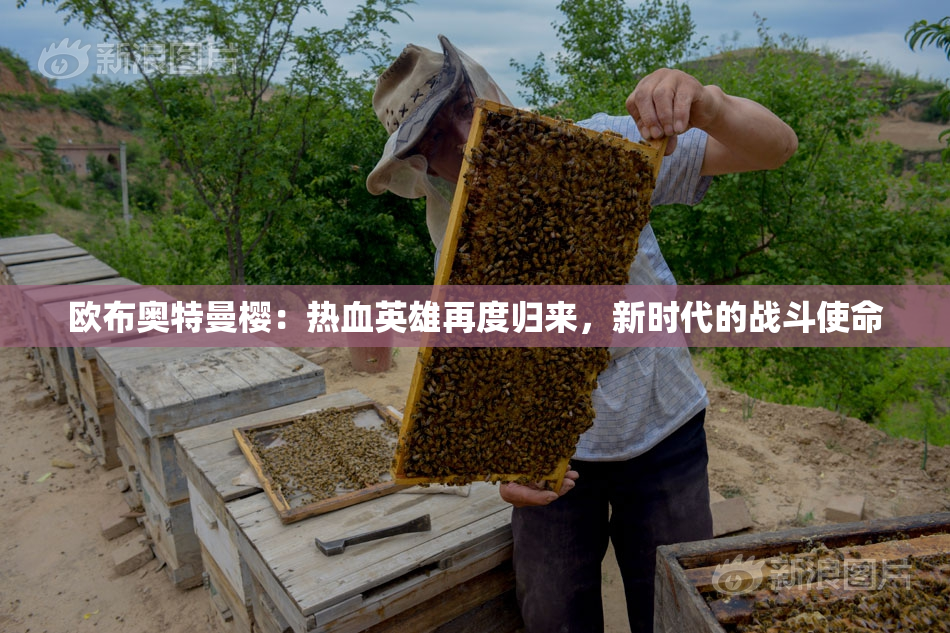 欧布奥特曼樱：热血英雄再度归来，新时代的战斗使命