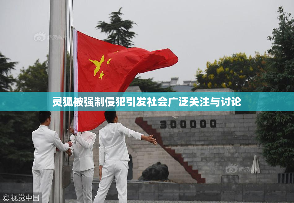 灵狐被强制侵犯引发社会广泛关注与讨论