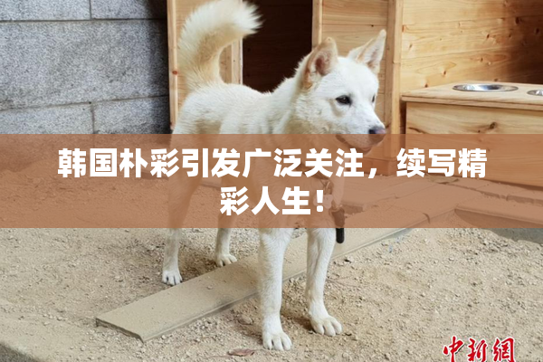 韩国朴彩引发广泛关注，续写精彩人生！
