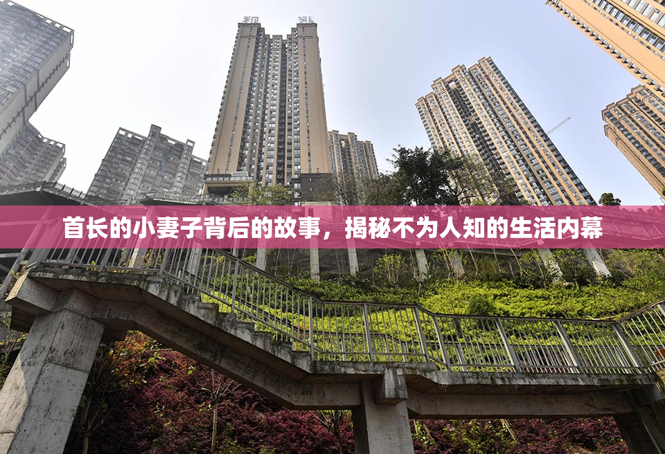 首长的小妻子背后的故事，揭秘不为人知的生活内幕