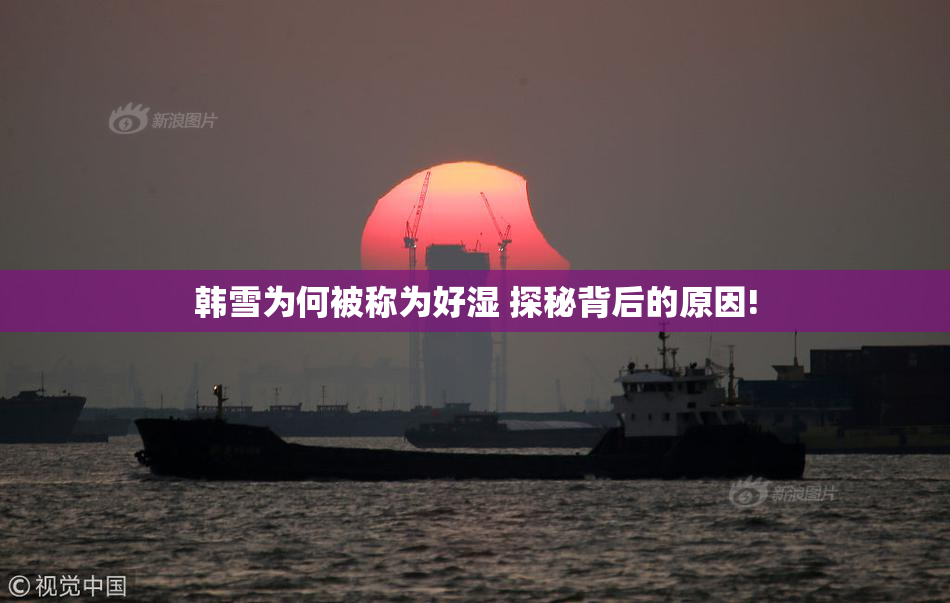 韩雪为何被称为好湿 探秘背后的原因!