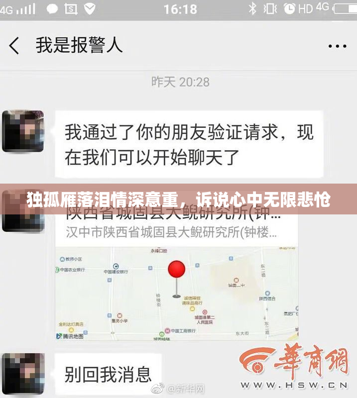 独孤雁落泪情深意重，诉说心中无限悲怆