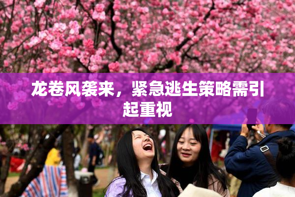龙卷风袭来，紧急逃生策略需引起重视