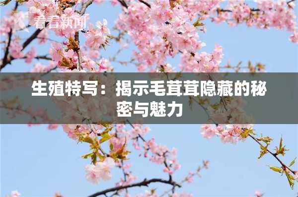 生殖特写：揭示毛茸茸隐藏的秘密与魅力
