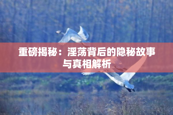 重磅揭秘：淫荡背后的隐秘故事与真相解析