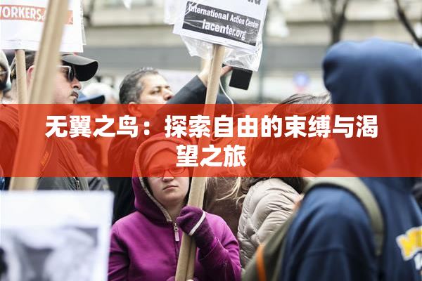 无翼之鸟：探索自由的束缚与渴望之旅