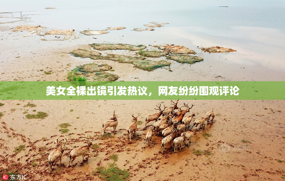 美女全裸出镜引发热议，网友纷纷围观评论