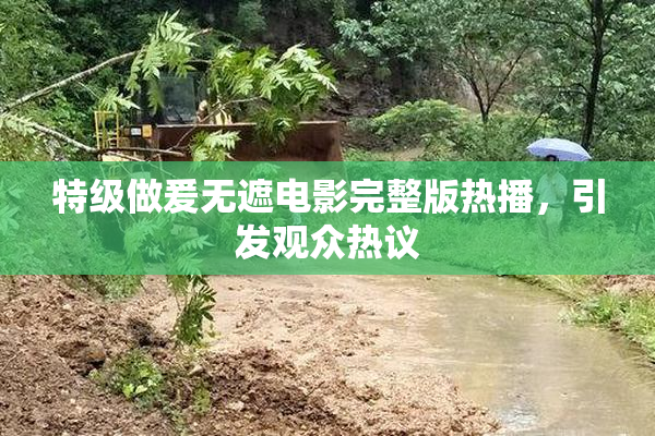 特级做爰无遮电影完整版热播，引发观众热议