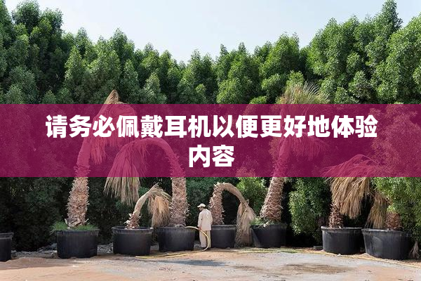 请务必佩戴耳机以便更好地体验内容