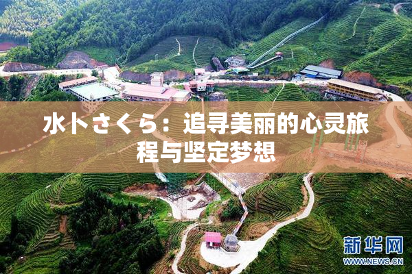 水卜さくら：追寻美丽的心灵旅程与坚定梦想