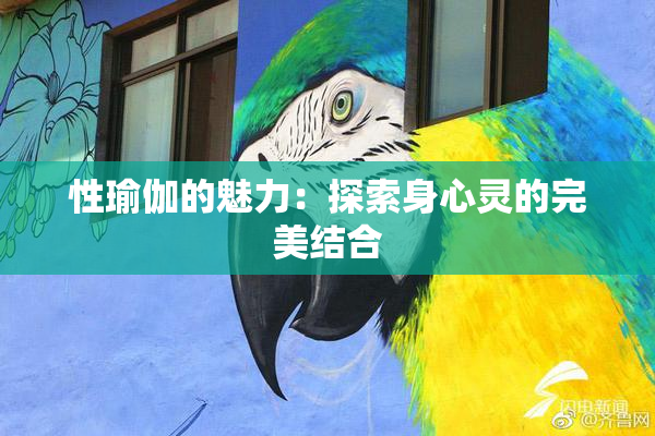 性瑜伽的魅力：探索身心灵的完美结合