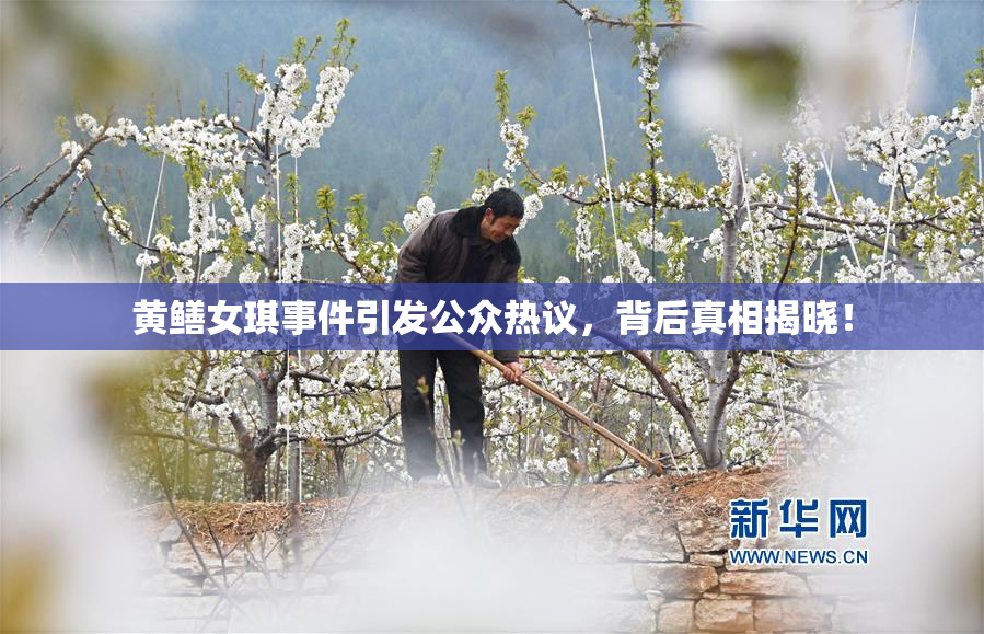 黄鳝女琪事件引发公众热议，背后真相揭晓！