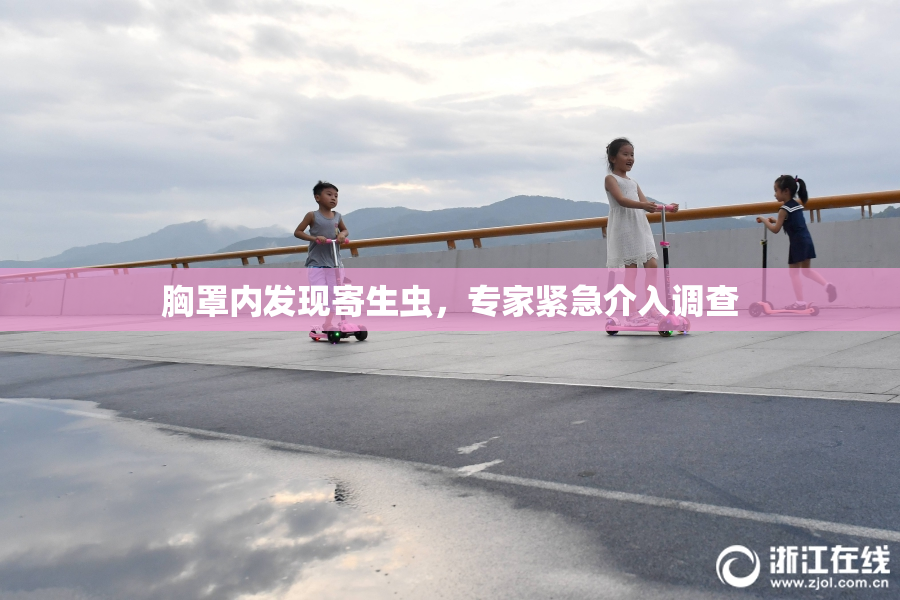 胸罩内发现寄生虫，专家紧急介入调查