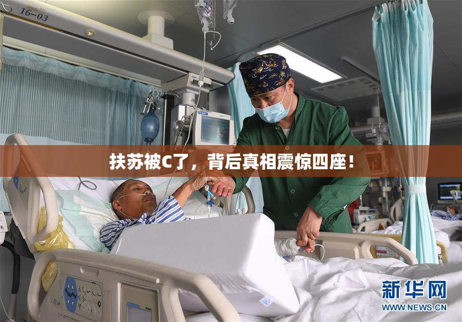 扶苏被C了，背后真相震惊四座！