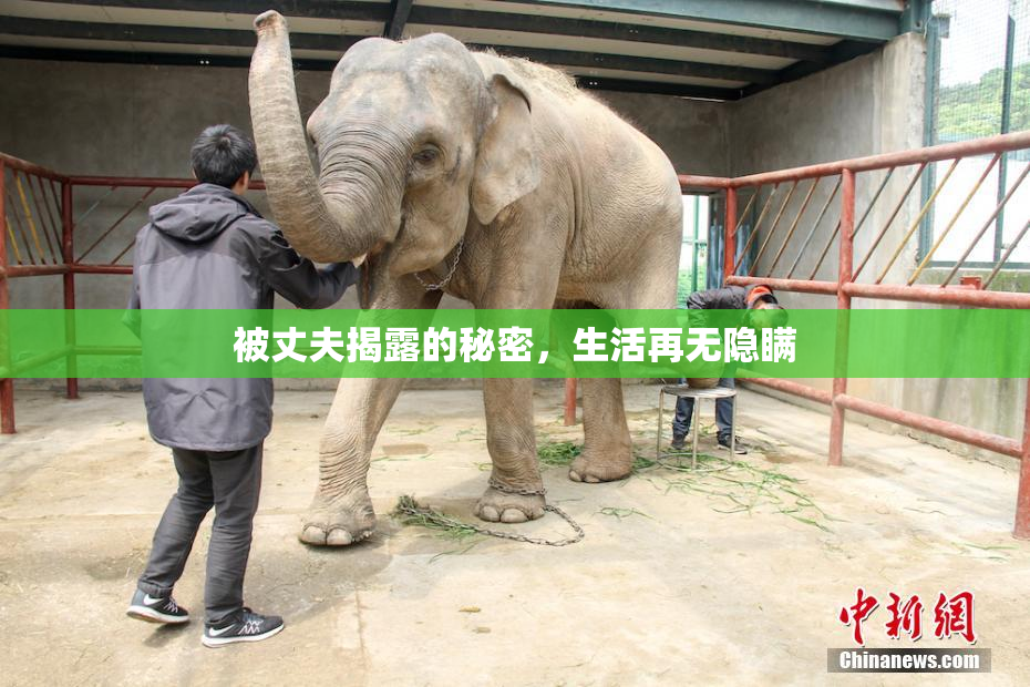 被丈夫揭露的秘密，生活再无隐瞒
