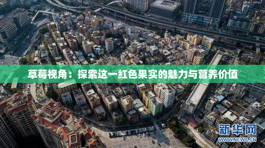 草莓视角：探索这一红色果实的魅力与营养价值