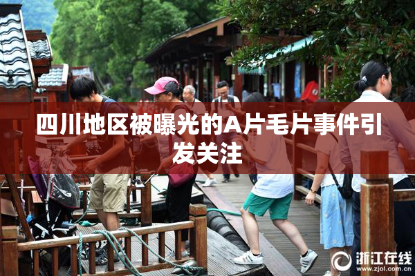 四川地区被曝光的A片毛片事件引发关注