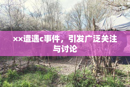 ××遭遇c事件，引发广泛关注与讨论