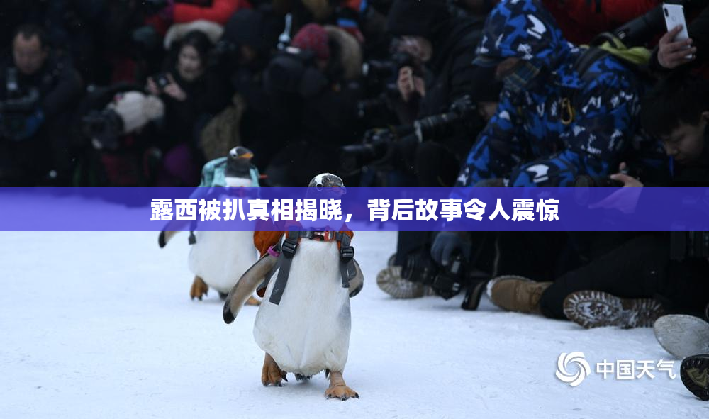 露西被扒真相揭晓，背后故事令人震惊