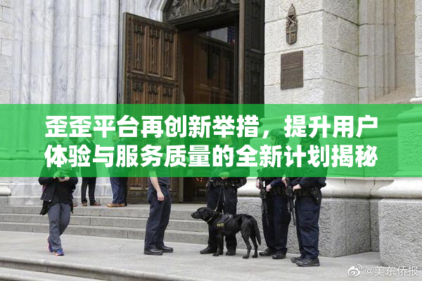 歪歪平台再创新举措，提升用户体验与服务质量的全新计划揭秘