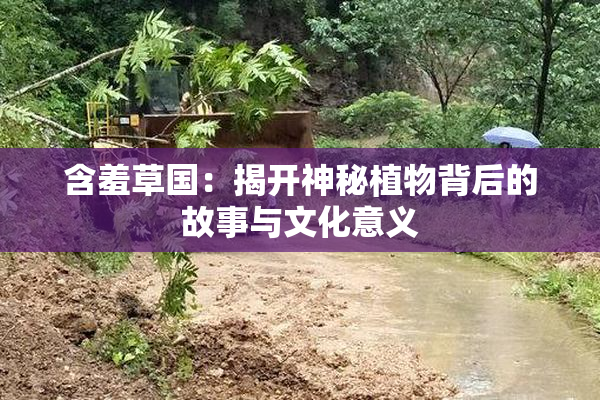 含羞草国：揭开神秘植物背后的故事与文化意义