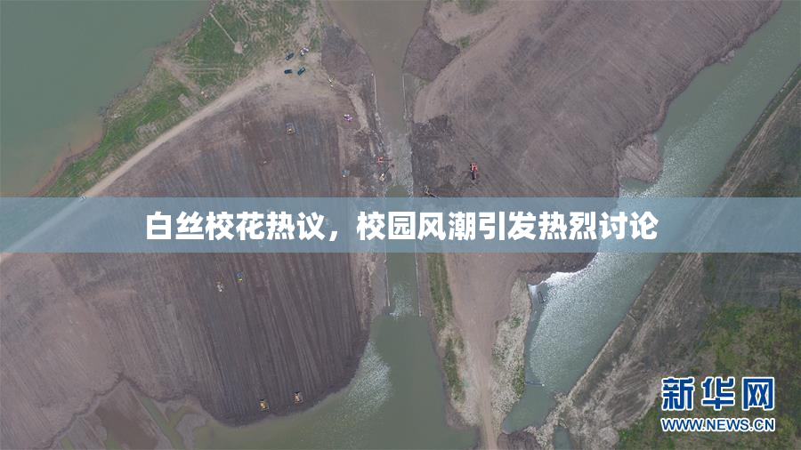 白丝校花热议，校园风潮引发热烈讨论