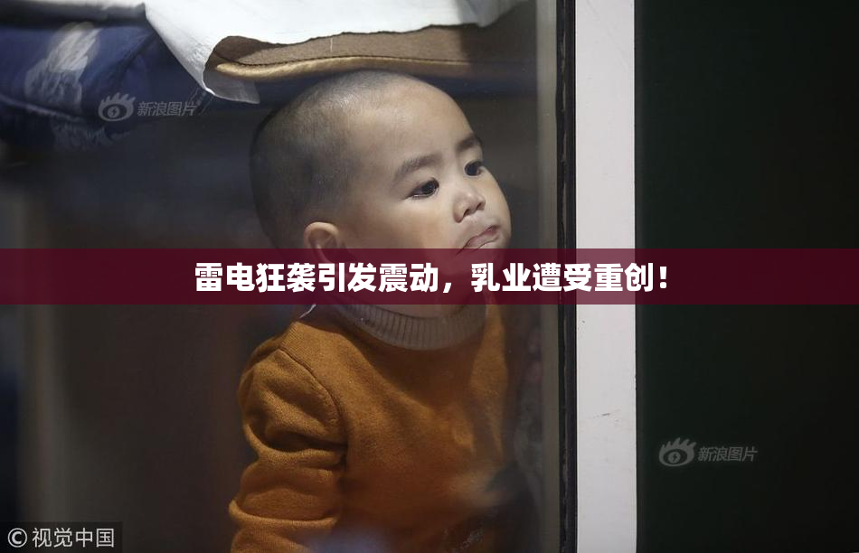 雷电狂袭引发震动，乳业遭受重创！