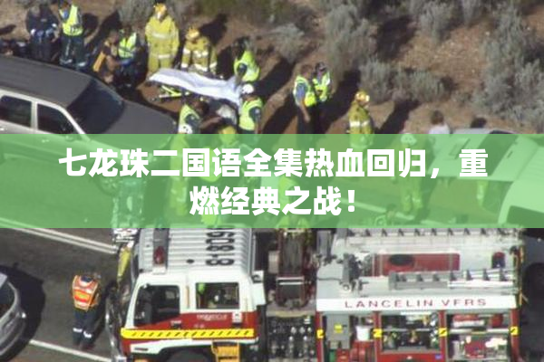 七龙珠二国语全集热血回归，重燃经典之战！