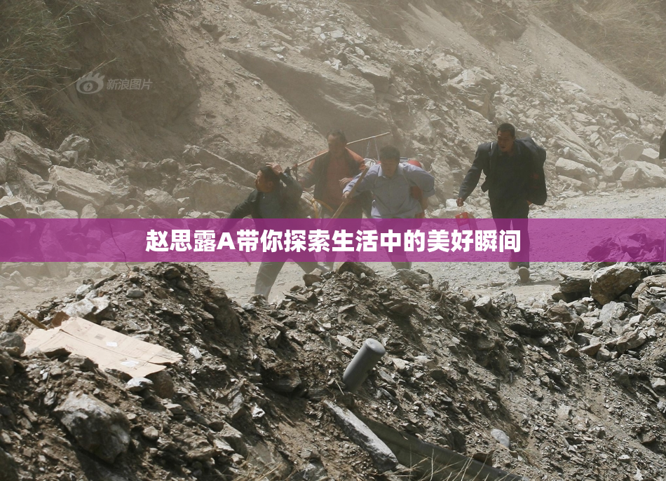 赵思露A带你探索生活中的美好瞬间