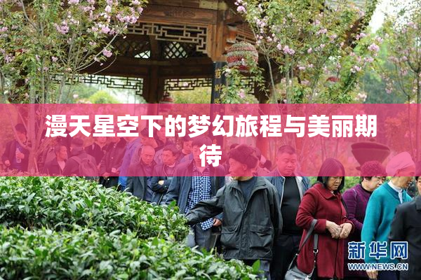 漫天星空下的梦幻旅程与美丽期待
